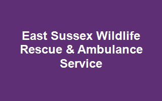 East Sussex Wildlife Rescue & Ambulance Service