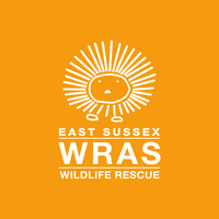 East Sussex Wildlife Rescue & Ambulance Service